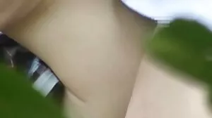 විට්නි රයිට්