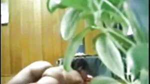 නිදියන්න