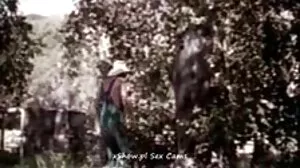 විශ්මයජනක මියා මල්කෝවාගේ කොල්ලය කඩා වැටේ