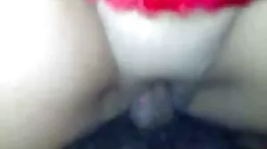 ජිනෙබ්‍රා බෙලූචි පුසීව ඉවතට දමන්නේ නැත!